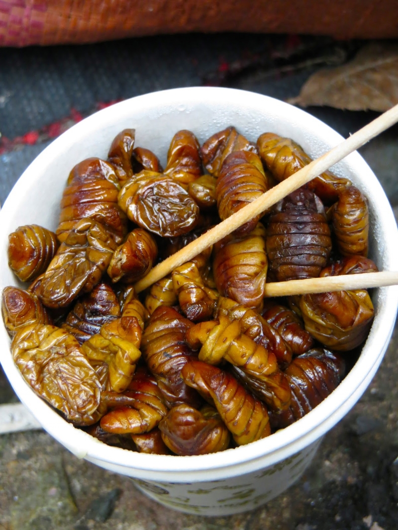 Beondegi - Món ăn nổi tiếng Hàn Quốc