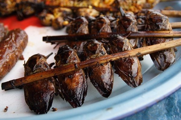 Cà Cuống - Sơn hào hải vị