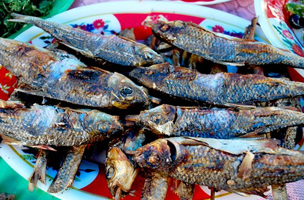 Cá niên nướng - Đặc sản miền núi ngon