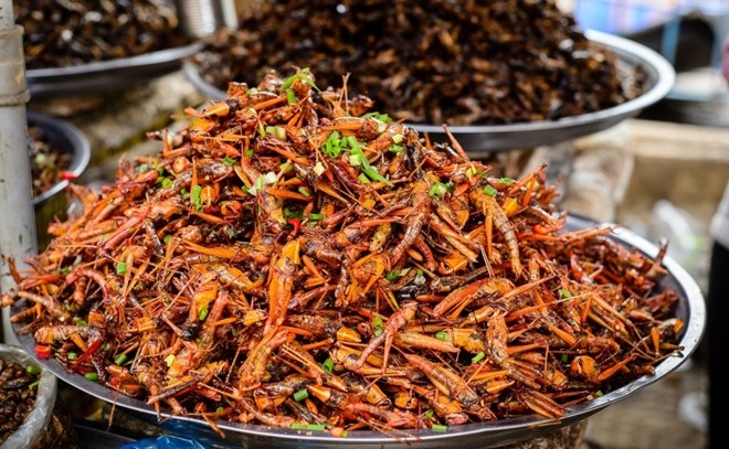 Châu Chấu - món ăn ưa chuộng ở Châu Á