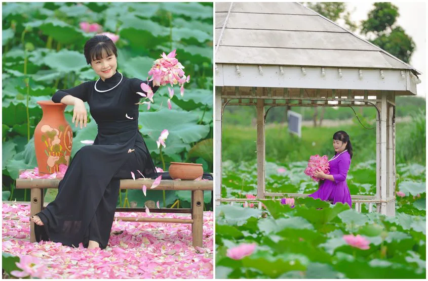 Chụp ảnh hoa sen nên chọn áo dài màu gì