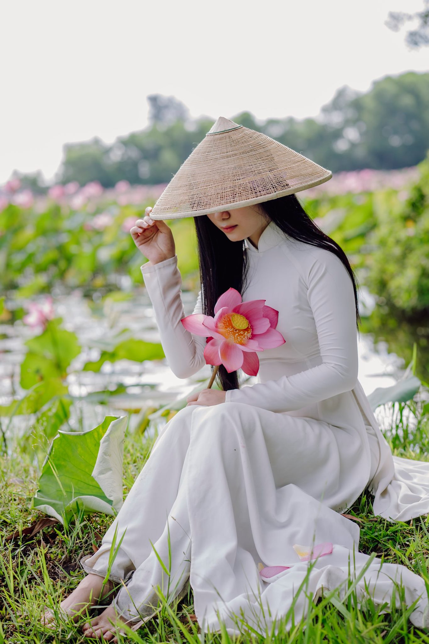 chụp ảnh áo dài với hoa sen tại Hà Nội chụp ảnh áo dài với hoa sen tại Hà Nội