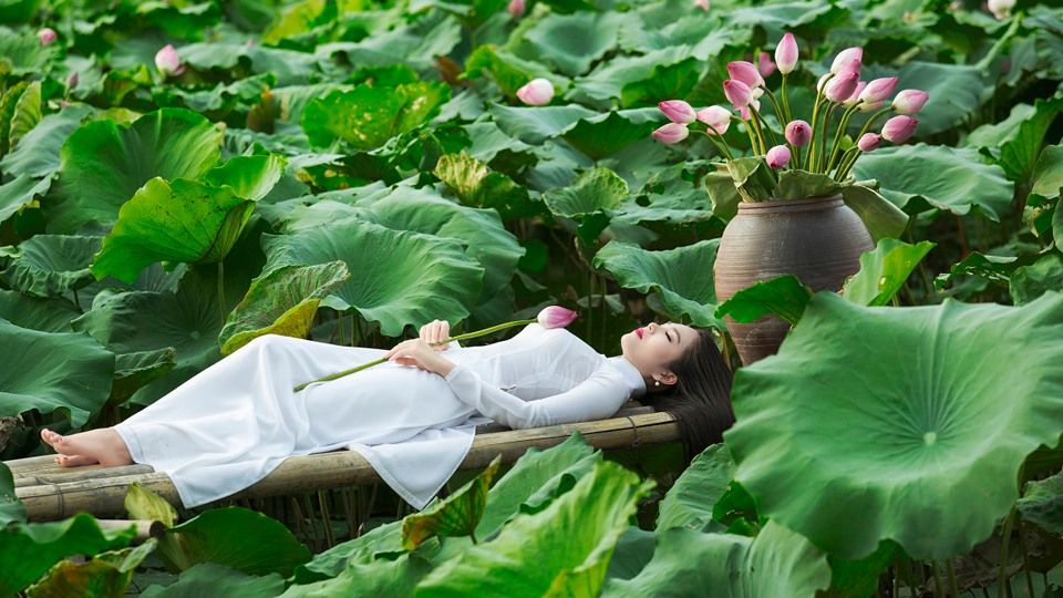 Chụp ảnh hoa sen nên chọn áo dài màu gì Chụp ảnh hoa sen nên chọn áo dài màu gì