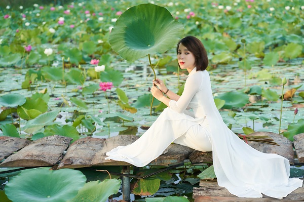 Chụp ảnh hoa sen nên chọn áo dài màu gì Chụp ảnh hoa sen nên chọn áo dài màu gì
